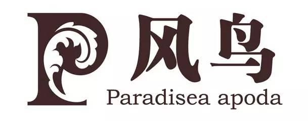 鵬為軟件與風(fēng)鳥集團(tuán)交流溝通 鵬為軟件與風(fēng)鳥集團(tuán)交流溝通